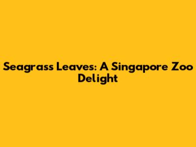 Seagrass Leaves: A Singapore Zoo Delight